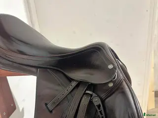 Sadlar hästutrustning Equipe - Annons 2
