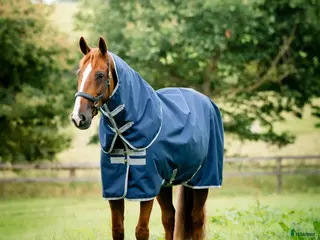 Täcken hästutrustning Oanvända regntäcken i Skövde - Annons 4