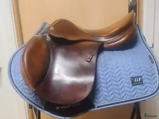 Sadlar hästutrustning Prestige Equipe i Hamneda - Annons 19