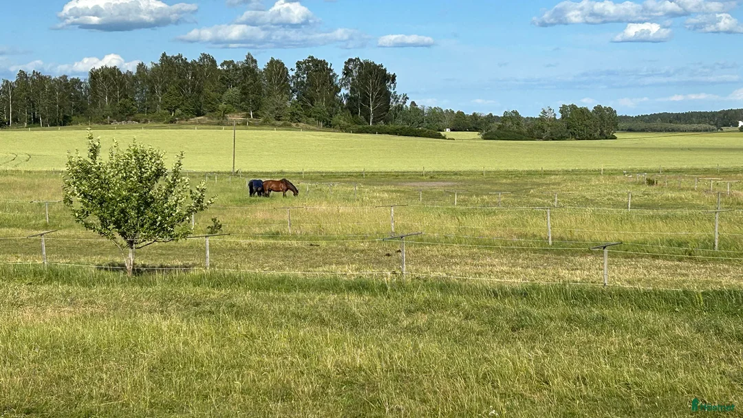  stallplats finnes: Stallplats med ridhus nära Norrköping (liten häst) i Norrköping - Annons 8