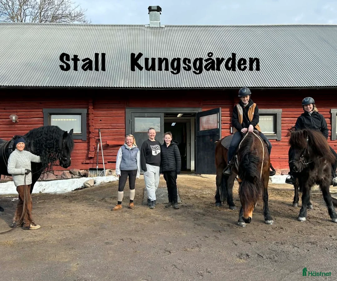  stallplats finnes: Ledig boxplats - Annons 2
