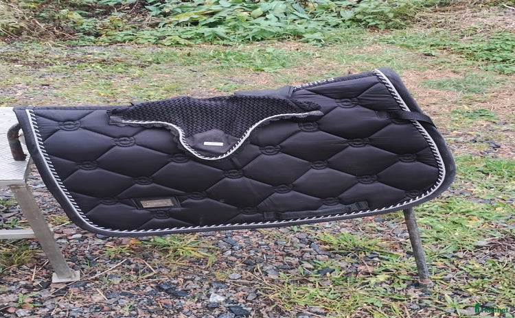 Schabrak & Vojlockar hästutrustning till salu i Söderköping - Annons 17