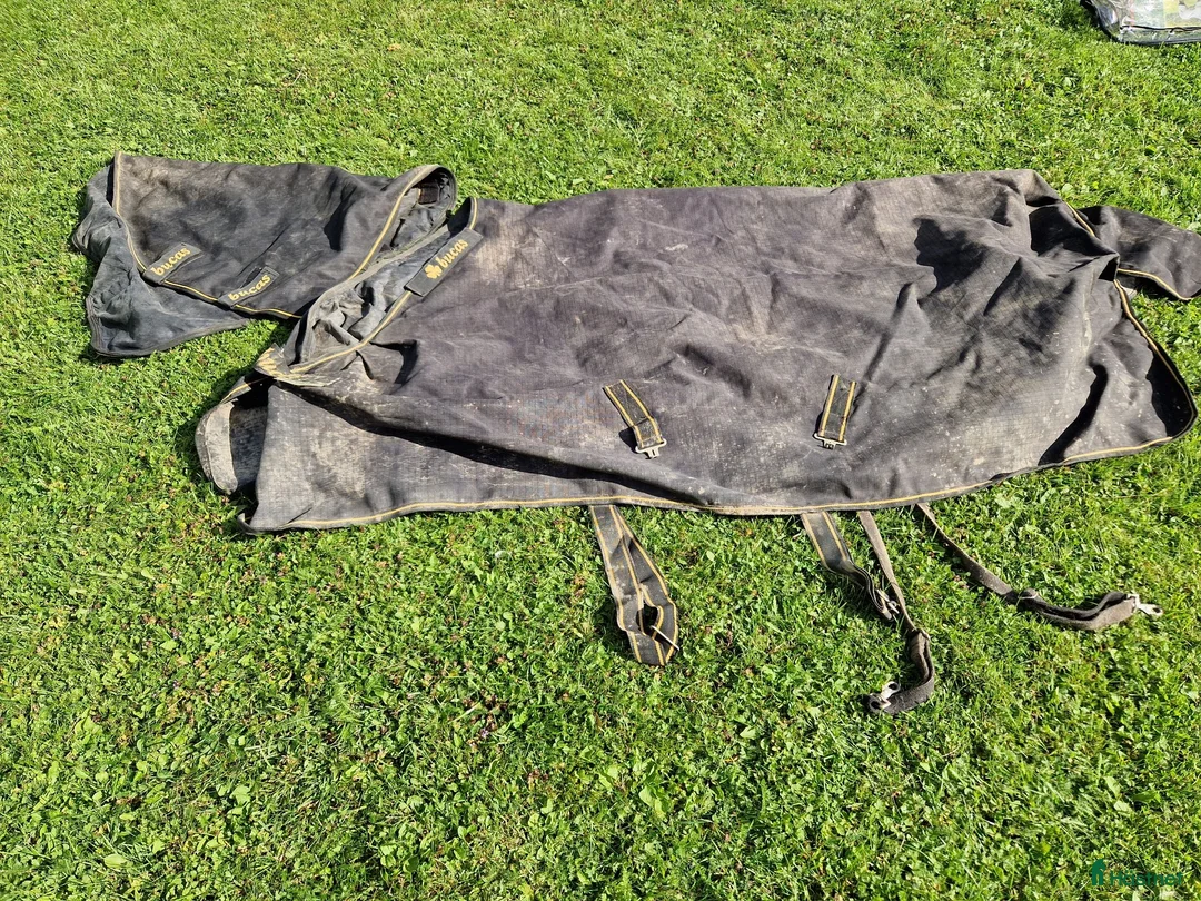 Täcken hästutrustning till salu: Bucas Irish Turnout Light 50g 145cm - Annons 1