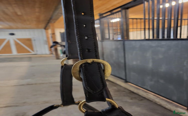 Övrig Hästutrustning hästutrustning till salu i Köping - Annons 11