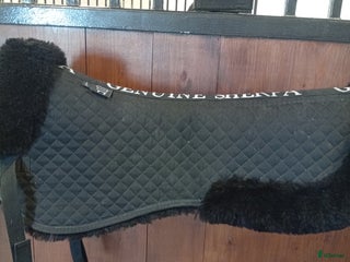 Övrig Hästutrustning hästutrustning till salu: Fårskinns pad i Heberg - Annons 2