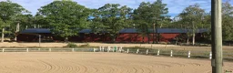  stallplats finnes: Lösdrift för valack, egen box. Ridhus. i Nykvarn - Annons 1