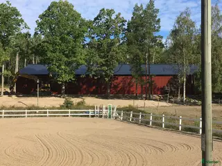 stallplats finnes: Lösdrift för valack, egen box. Ridhus. - Annons 2