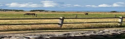  stallplats finnes: Stallplats finnes - Annons 1
