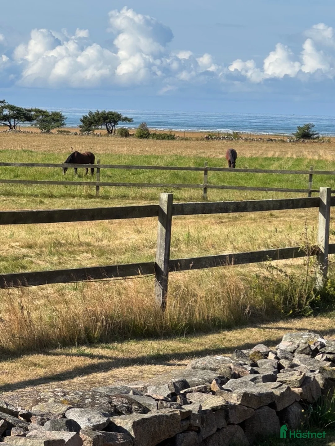  stallplats finnes: Stallplats finnes - Annons 1