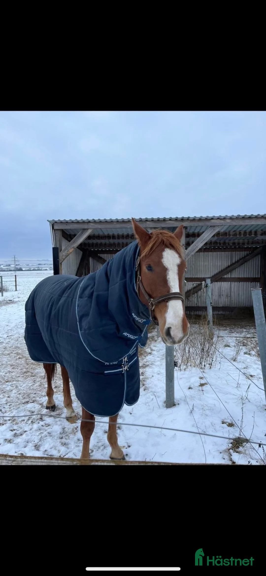  stallplats finnes: Stallplats finnes i litet stall i Tågarp  - Annons 5