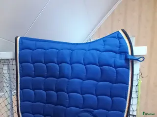 Schabrak & Vojlockar hästutrustning schabrak och vojlock - Annons 3