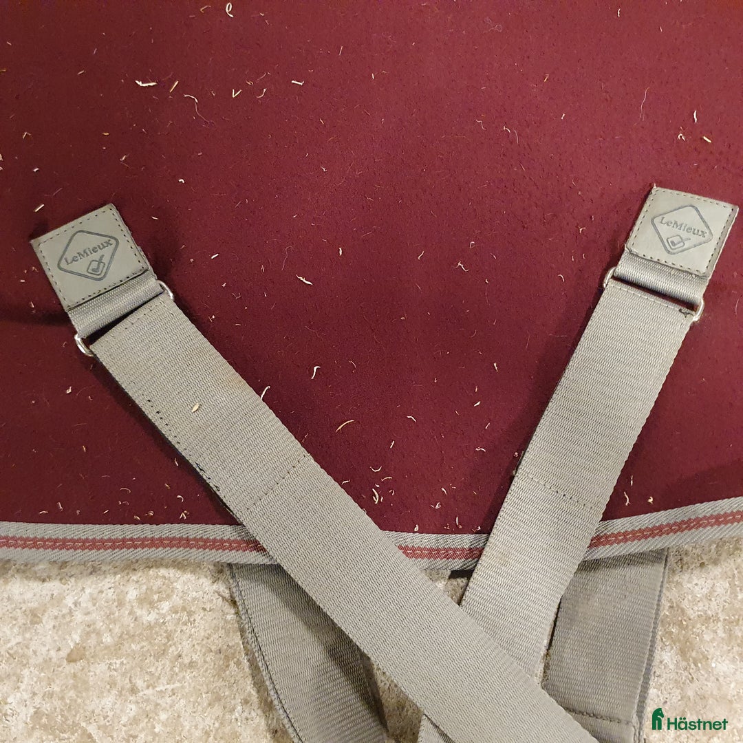 Täcken hästutrustning till salu: Lemieux Arika Jerseyfleece 135-140 i Tranås - Annons 9