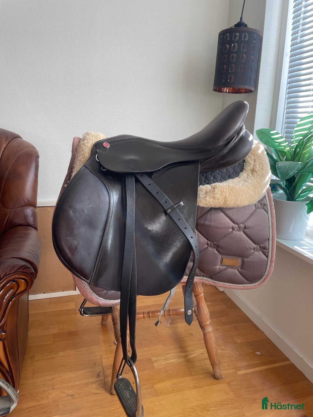 Sadlar hästutrustning till salu: hopp/allround sadel  i Ängelholm - Annons 2