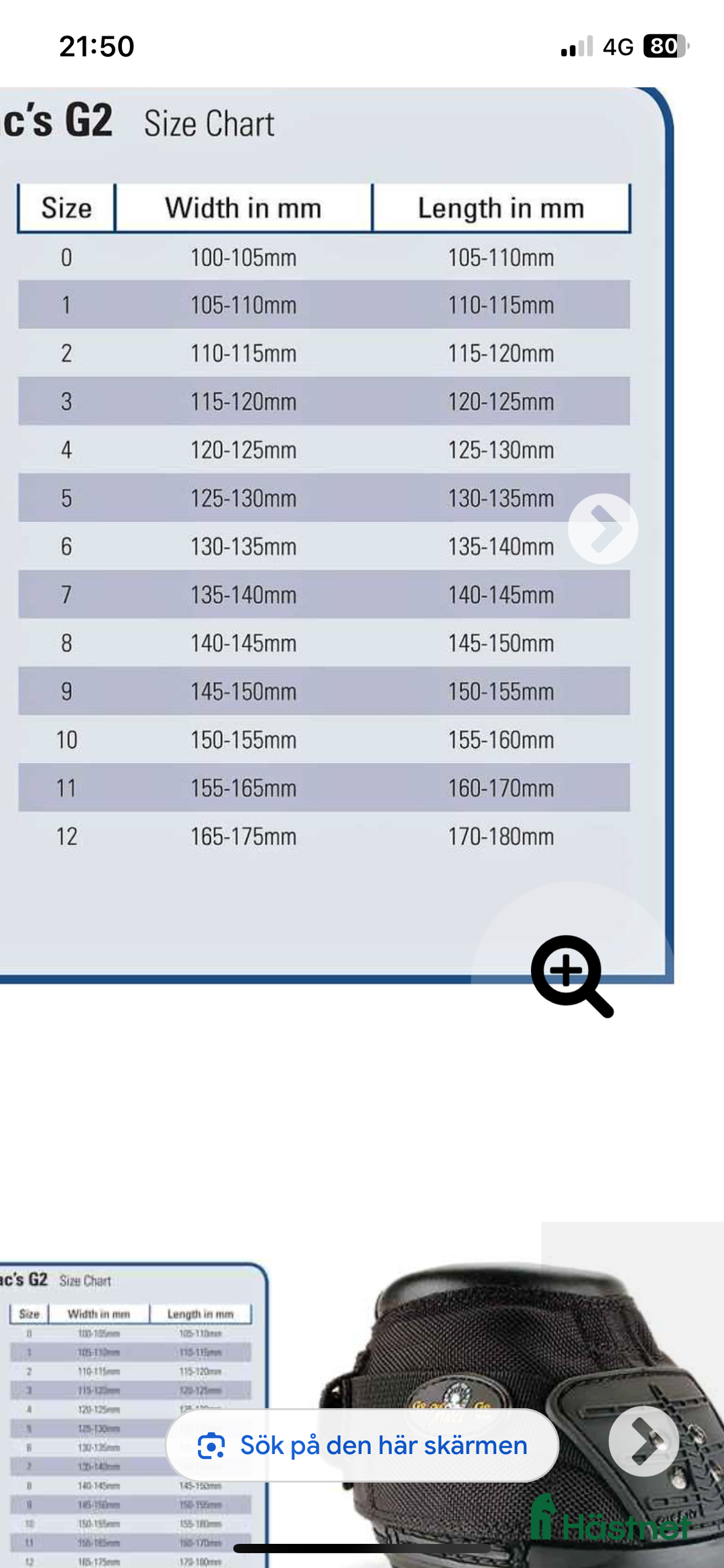 Övrig Hästutrustning hästutrustning till salu: Old Macs boots  i Lindome - Annons 6