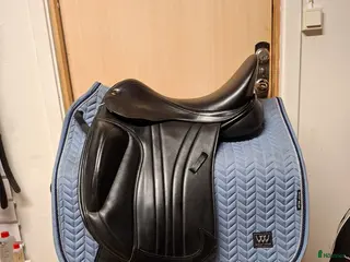 Sadlar hästutrustning till salu: Lippo Aurora i Hamneda - Annons 3