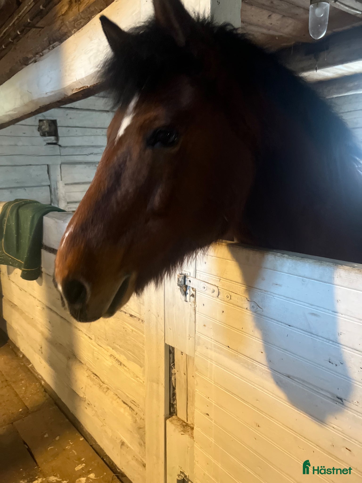  stallplats finnes: Stallplatser 3 st  - Annons 5