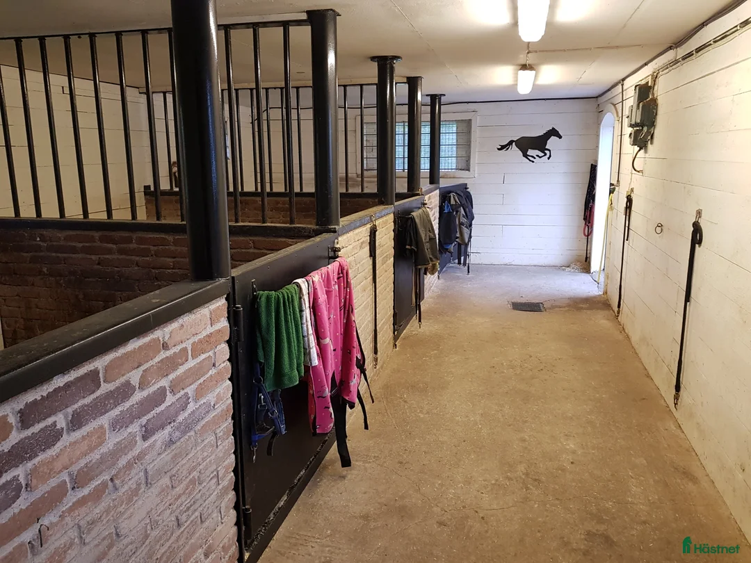  stallplats finnes: Stallplats i lugnt litet stall - Annons 1