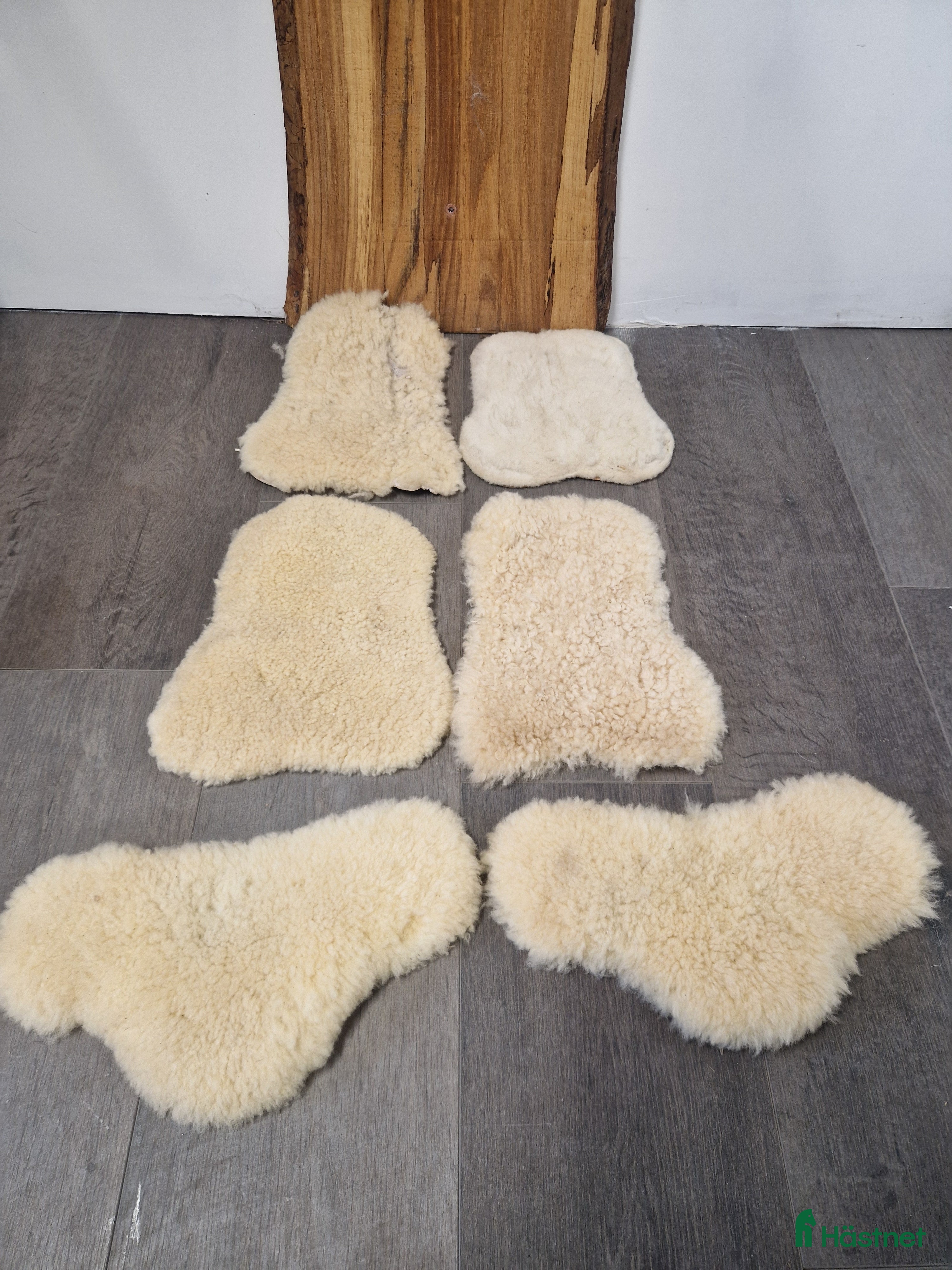 Benskydd hästutrustning till salu: Fårskinn inlägg till benskydd  i Vassmolösa - Annons 23