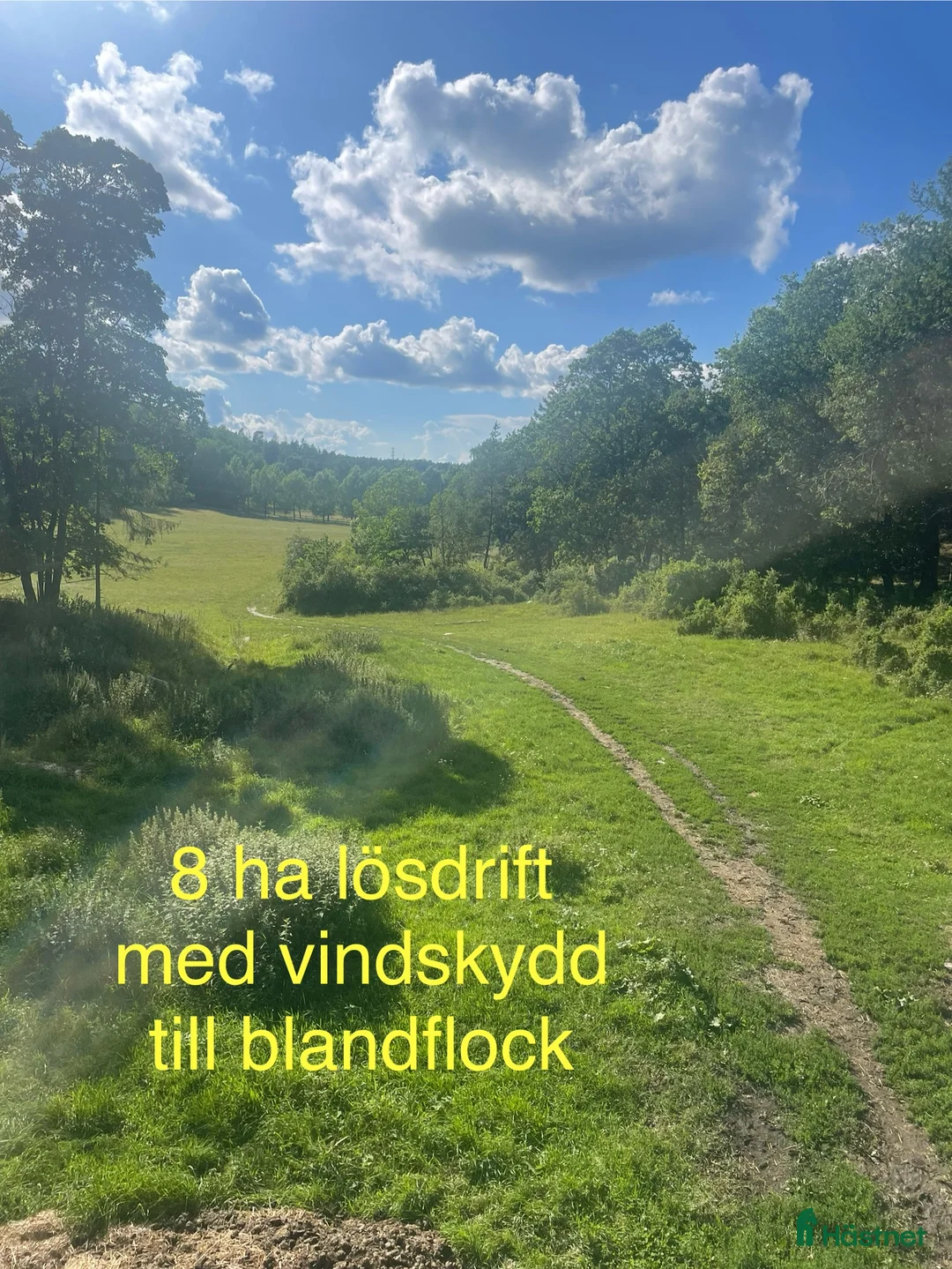  stallplats finnes: Ledig boxplats - Annons 3