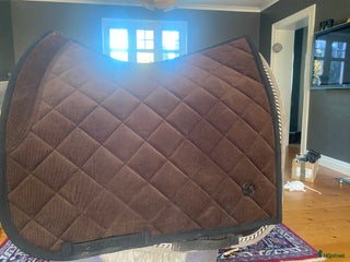 Schabrak & Vojlockar hästutrustning till salu: Ps dressyr full i Hörby - Annons 19