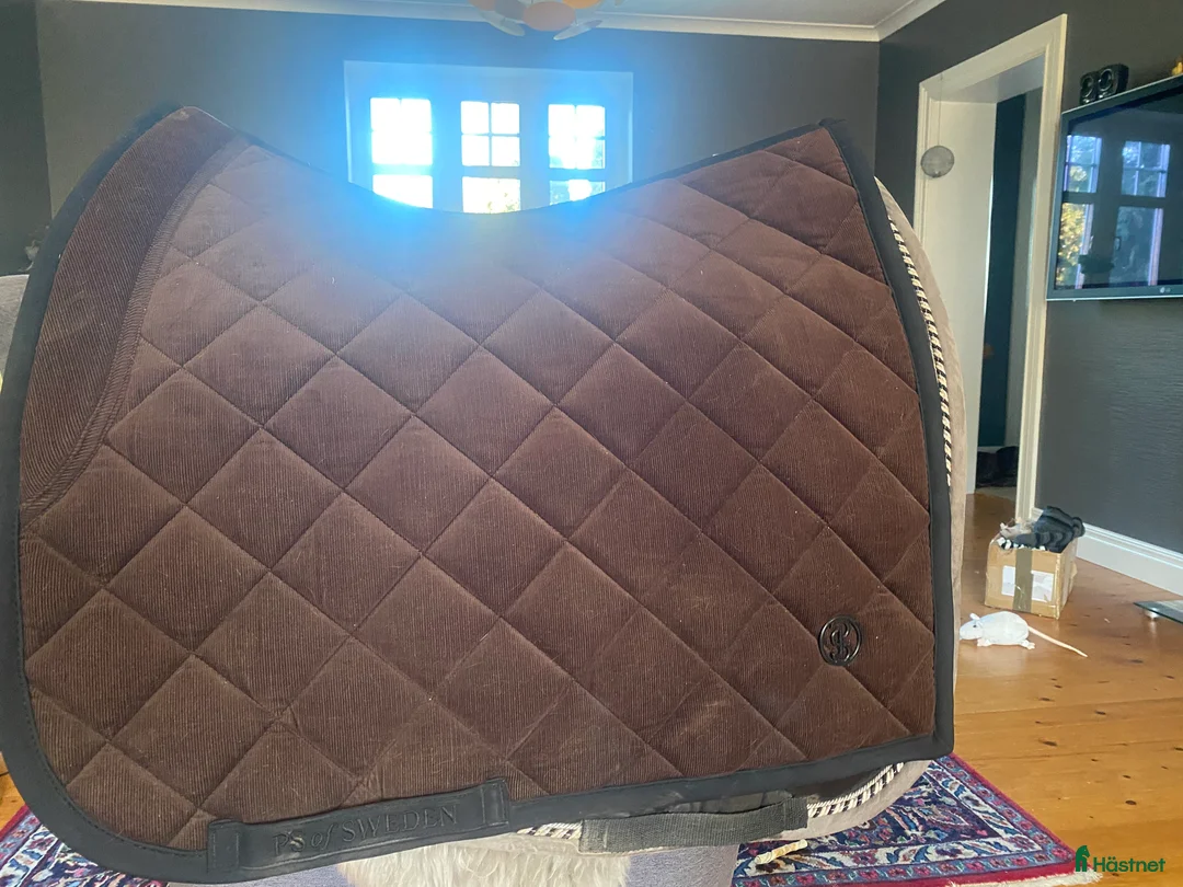 Schabrak & Vojlockar hästutrustning till salu: schabrak Ps dressyr full - Annons 1