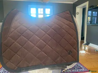 Schabrak & Vojlockar hästutrustning till salu: Ps dressyr full i Hörby - Annons 1