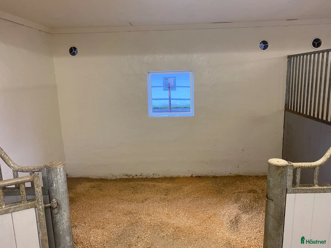  stallplats finnes: Stallplats i Fjärås i Fjärås - Annons 4