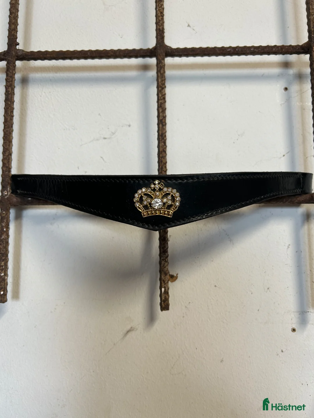 Övrig Hästutrustning hästutrustning till salu: Pannband med krona  - Annons 1