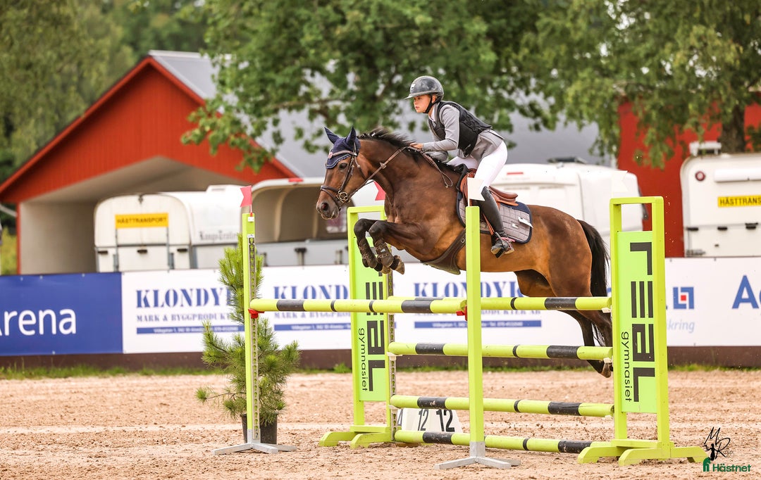 Hoppning hästar till salu: Maxad D Ponny  i Munkedal - Annons 1