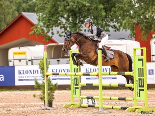 hästar Maxad D Ponny i Munkedal - Annons 17