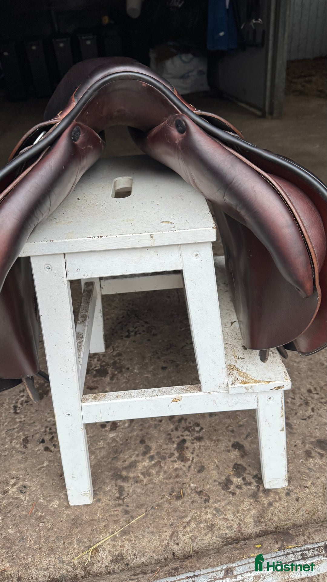 Sadlar hästutrustning till salu: Prestige Versailles  i Stockholm - Annons 2