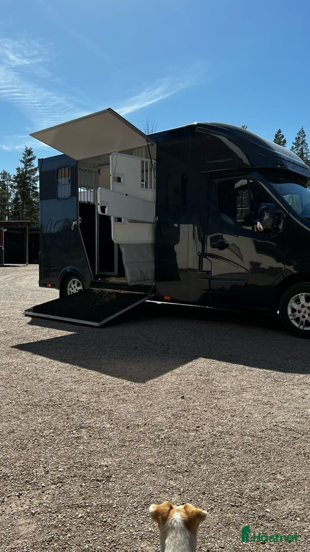  hästservice finnes: Transportering av häst i Västervik - Annons 3