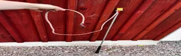 Övrig Hästutrustning hästutrustning till salu: Parellipaket: Bareback pad, repgrimma, carrotstick - Annons 10