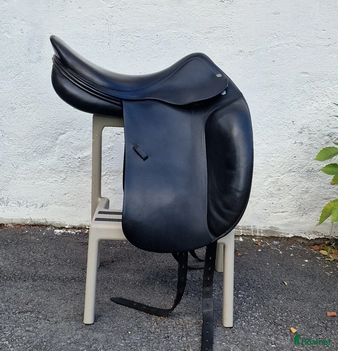 Sadlar hästutrustning till salu: Amerigo CC i Matfors - Annons 2