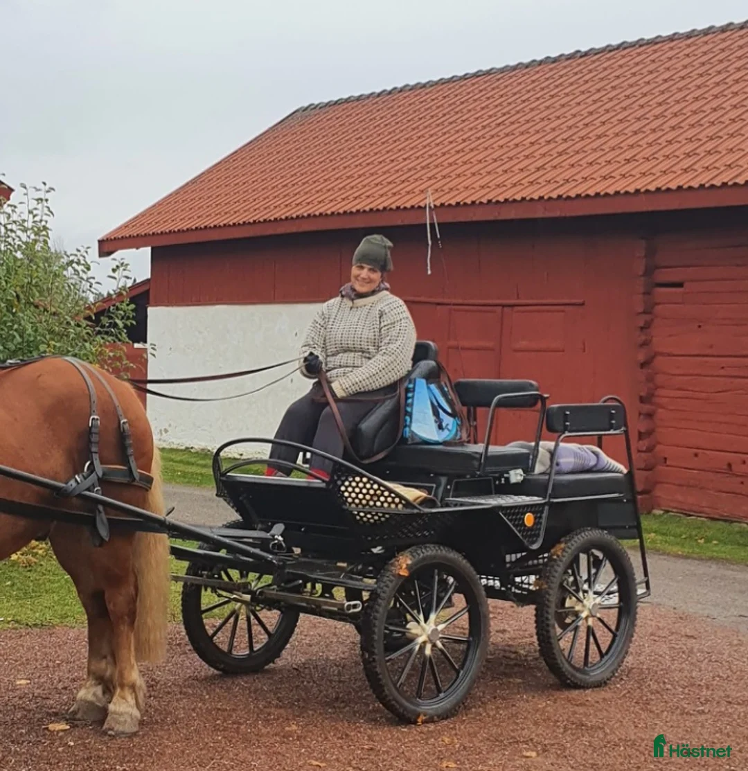 Körvagnar körning till salu: Fin maratonvagn  - Annons 2