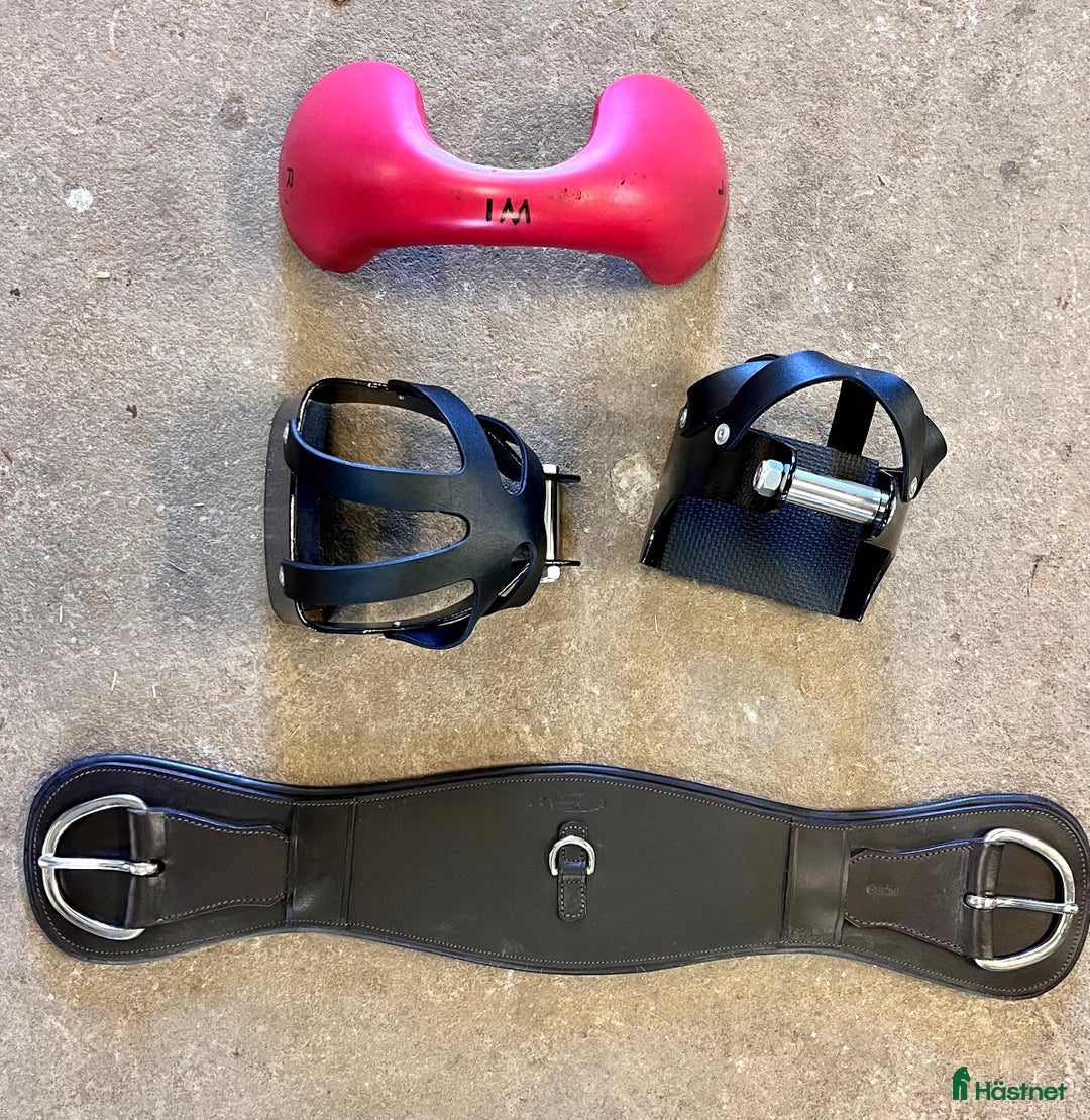 Sadlar hästutrustning till salu: Välskött bomfri sadel i Höganäs - Annons 4