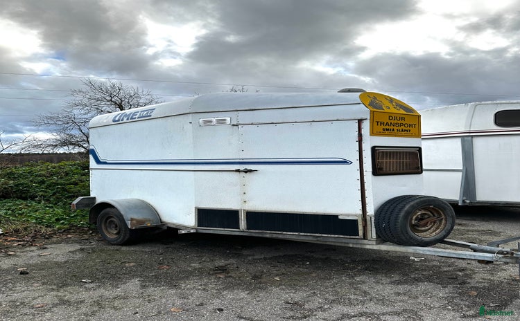 Hästtransporter  fordon & transport till salu i Täby - Annons 16