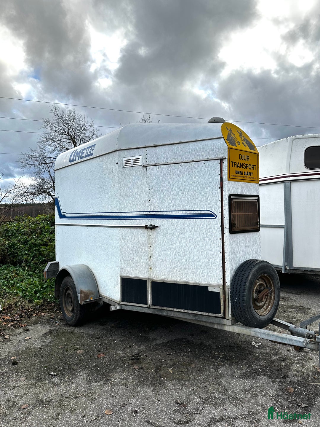 Hästtransporter  fordon & transport till salu: Låg totalvikt med hög lastvikt  i Täby - Annons 1