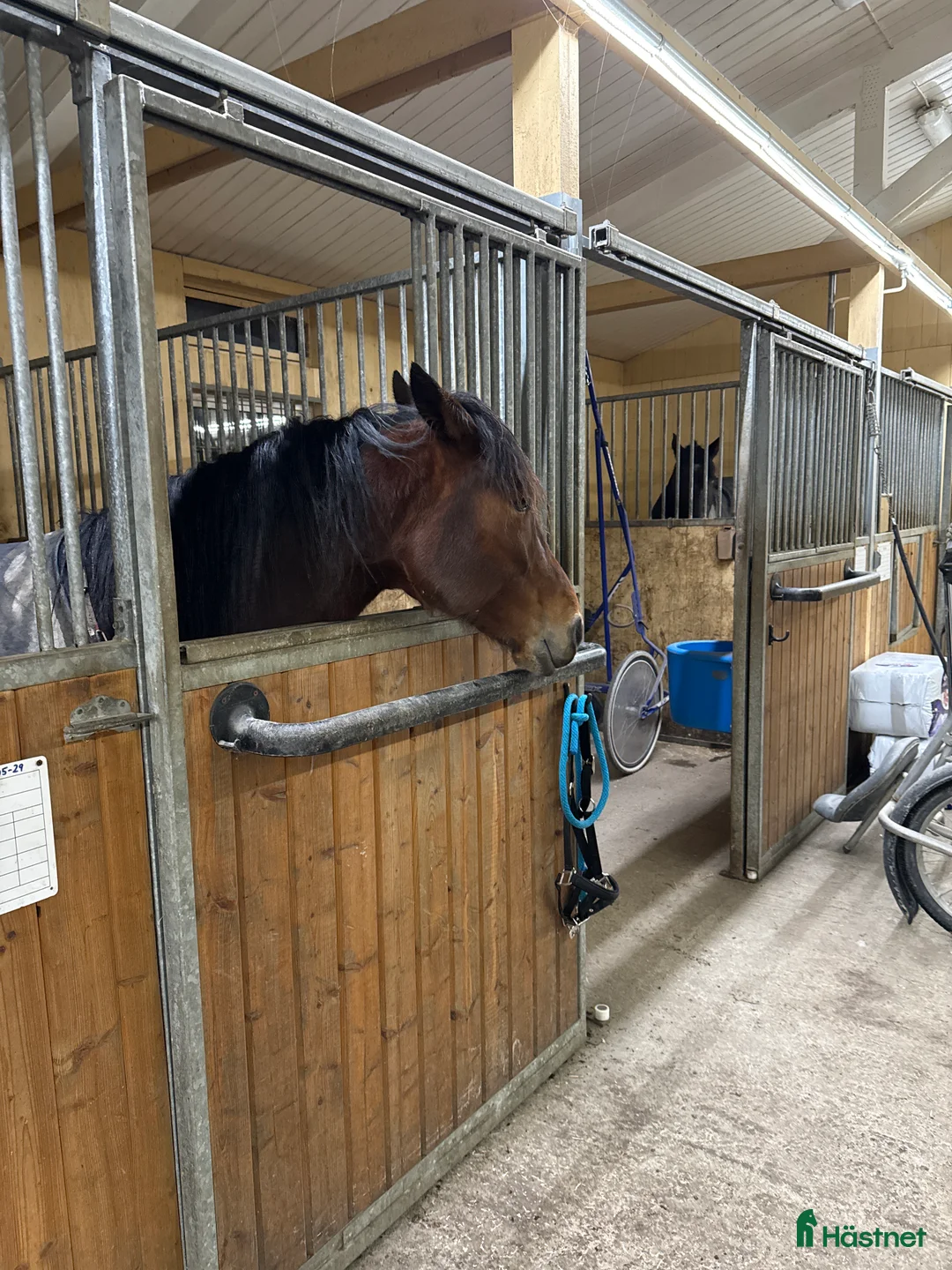  stallplats finnes: Stallplatser i Tystberga - Annons 3