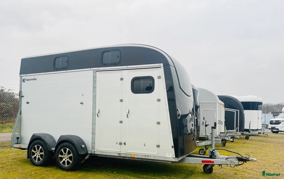 Hästtransporter  fordon & transport till salu: Fin Böckmann Big Portax  - Annons 3