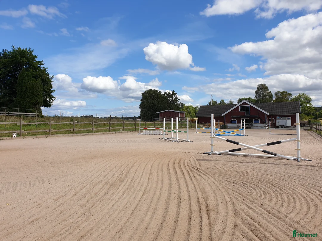  stallplats finnes: Stallplats - Annons 7