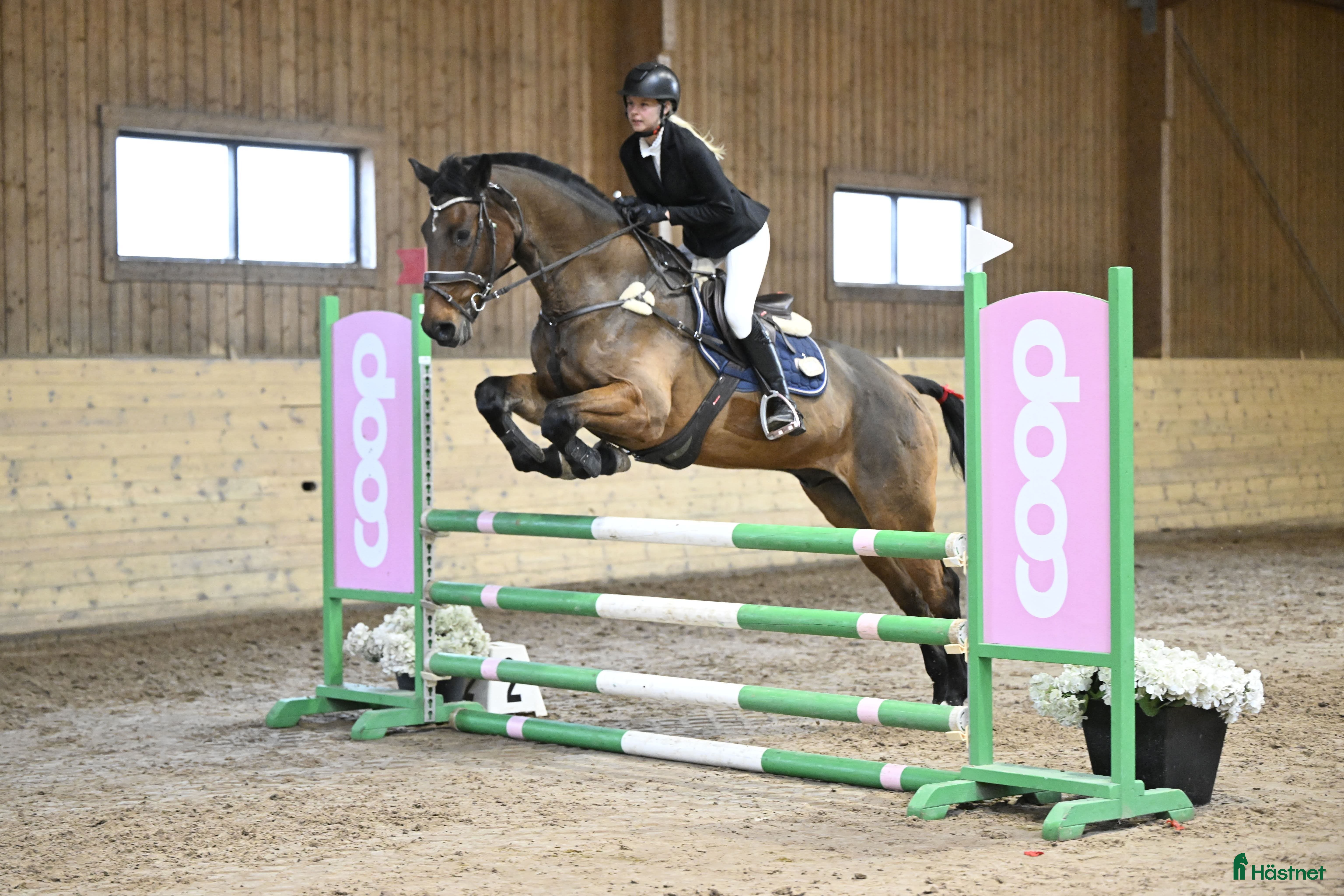  hästservice Söker du/ni en ny tränare? - Annons 2