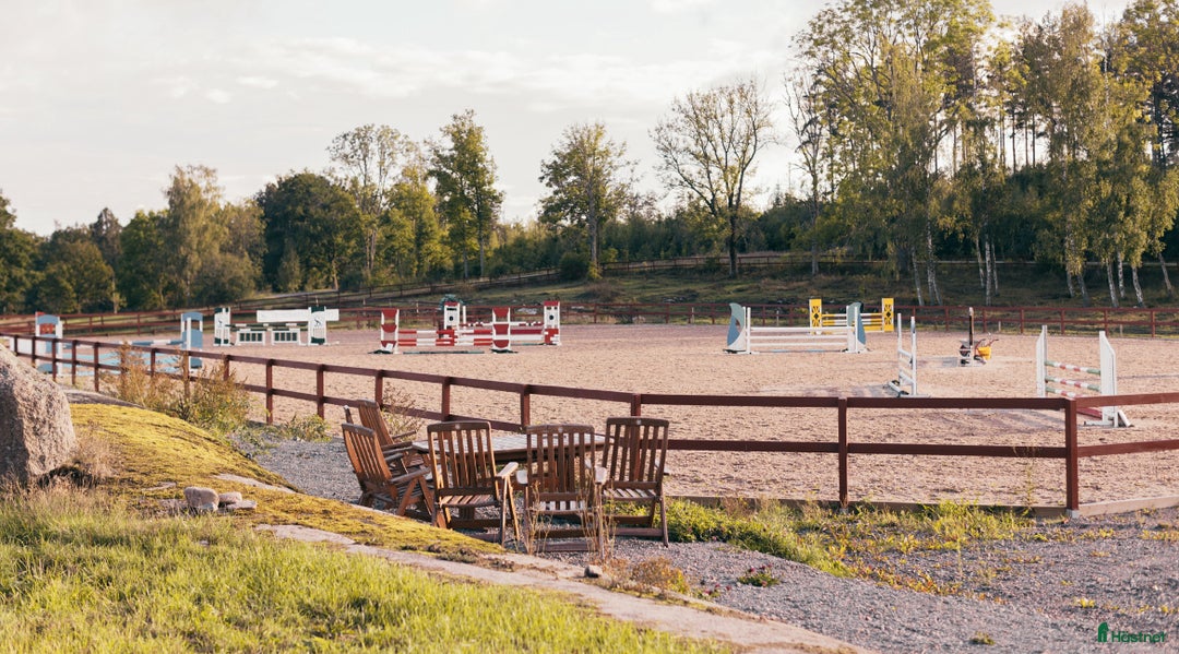  stallplats finnes: Lediga stallplatser på fullutrustad anläggning🐎 i Linköping - Annons 3