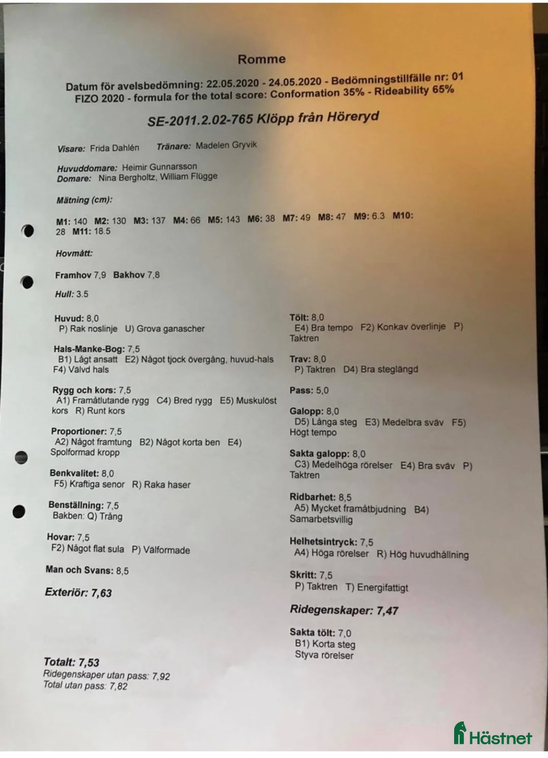 Island hästar till salu:     Välridet sto med hög ridbarhet i Brottby - Annons 2