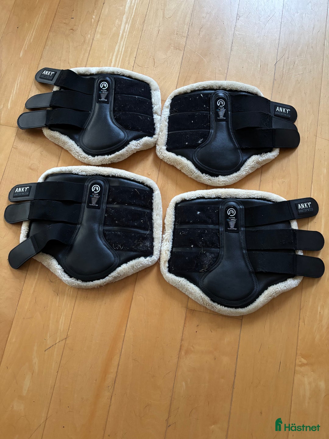 Benskydd hästutrustning till salu: Anky Benskydd i Enköping - Annons 1