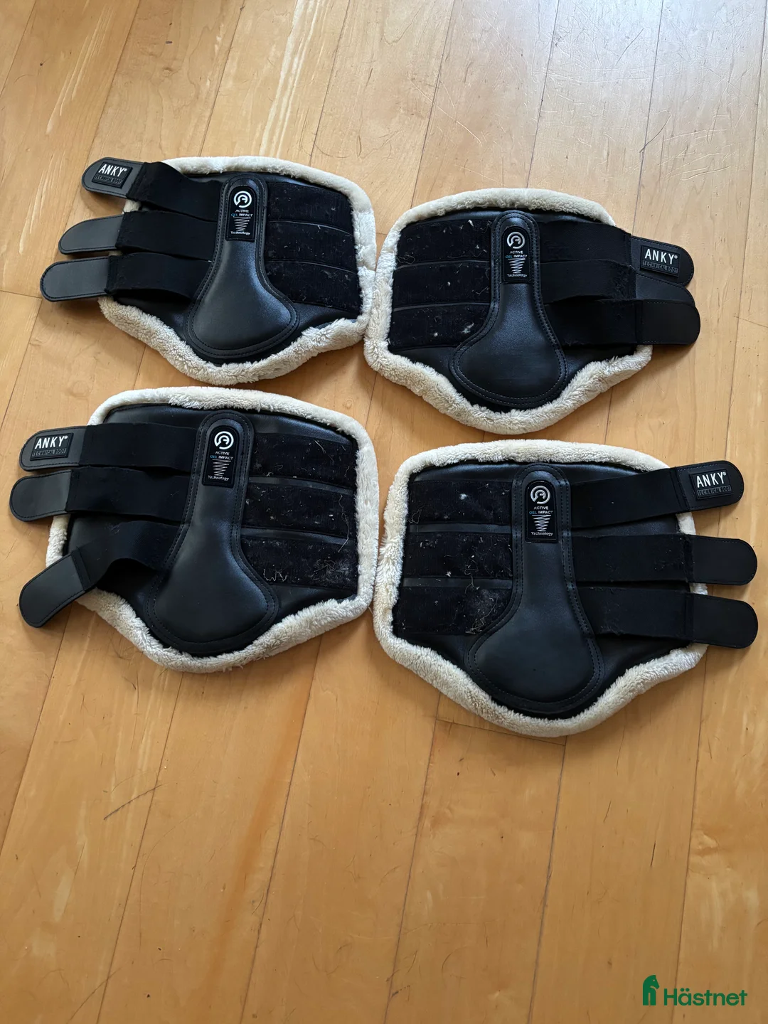 Benskydd hästutrustning till salu: Anky Benskydd i Enköping - Annons 1