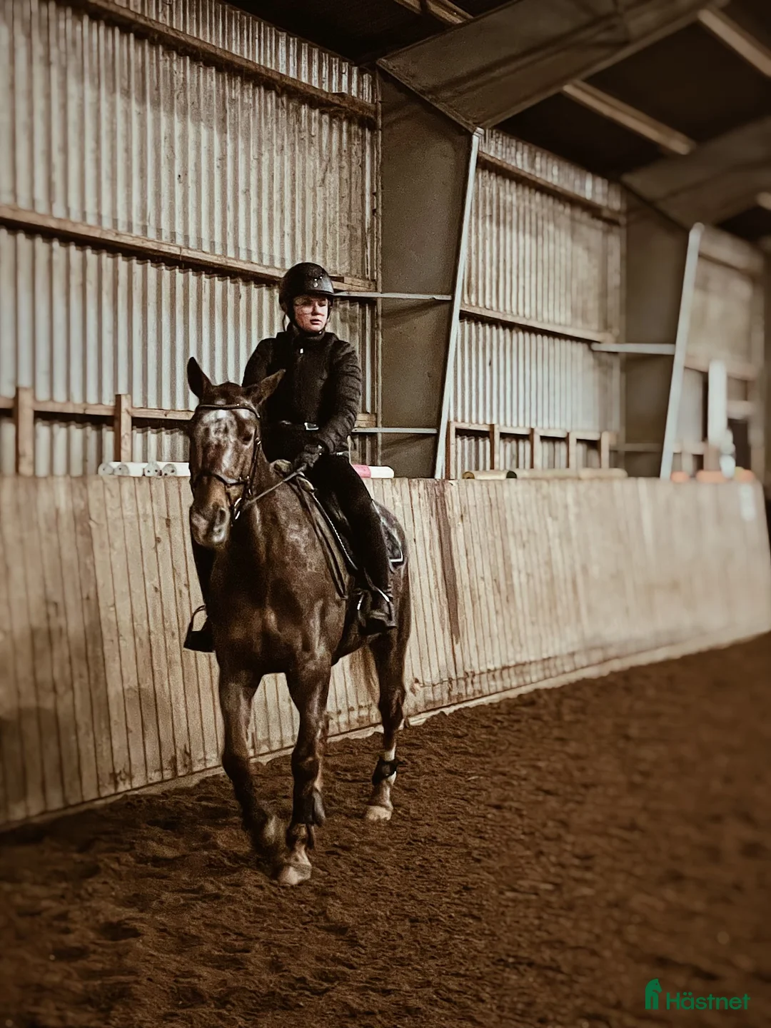 Galleribild {{count}}