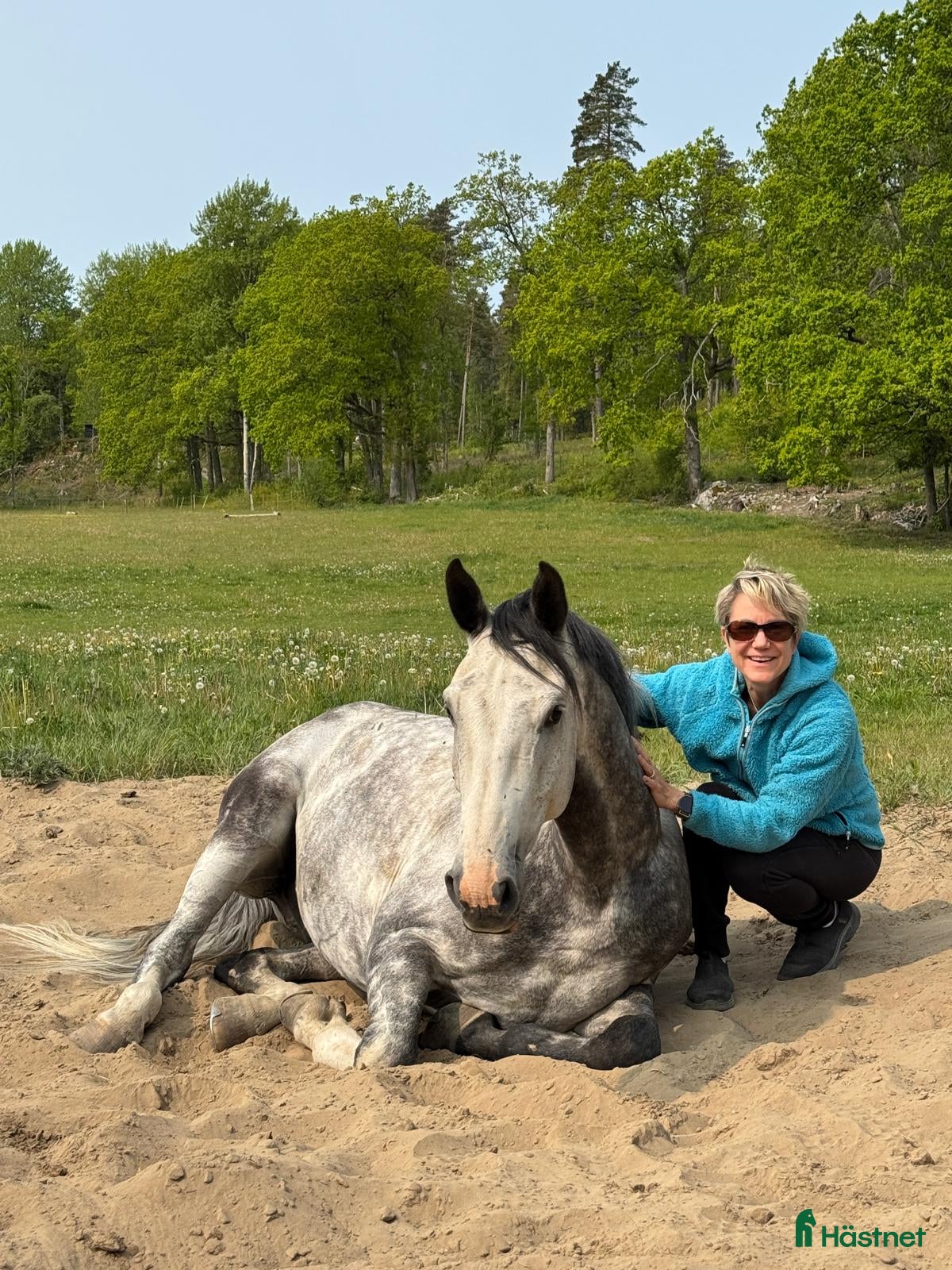  medryttarhäst finnes: Mogen ansvarsfull medryttare sökes i Västerhaninge - Annons 21