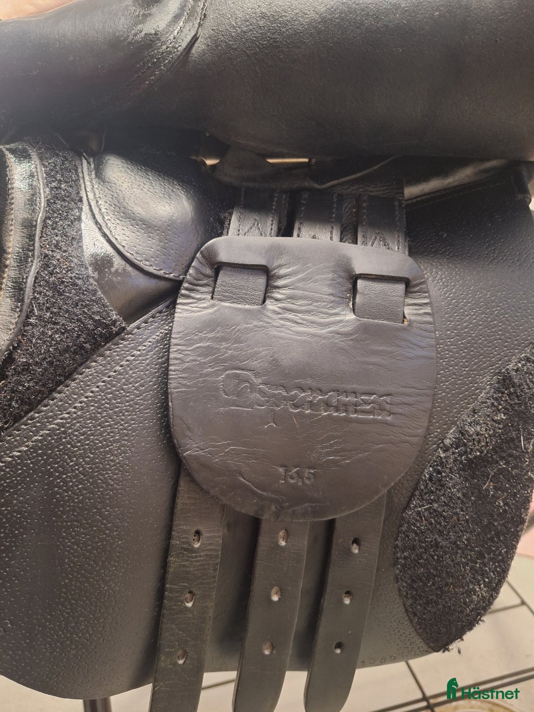 Sadlar hästutrustning till salu: Globus Esperanza  i Vänersborg - Annons 2