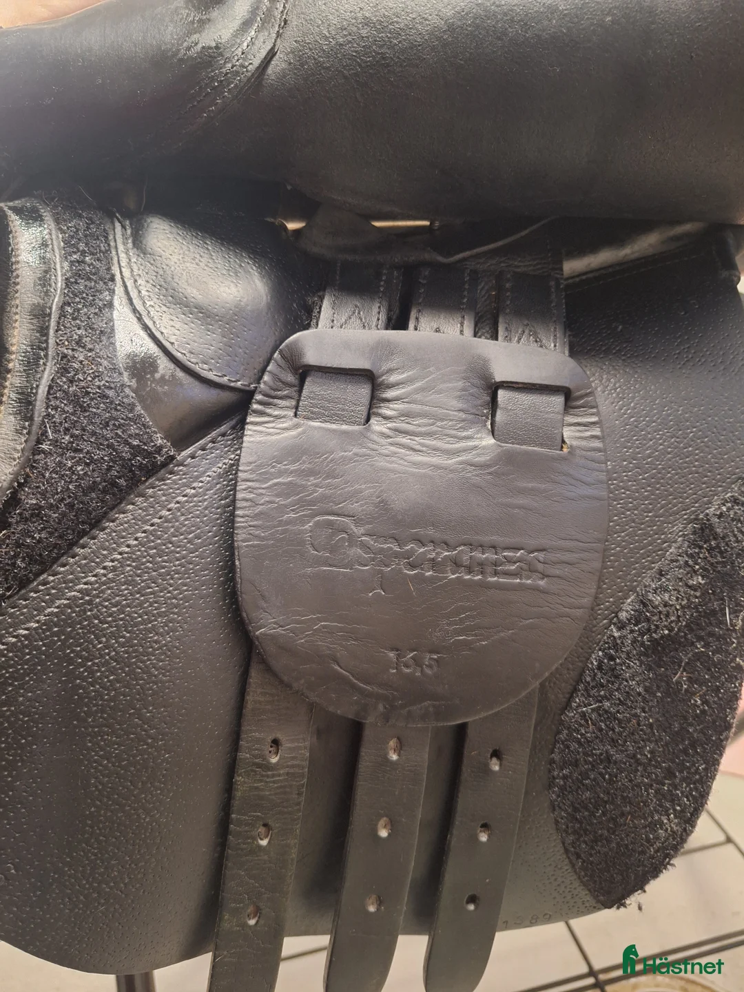 Sadlar hästutrustning till salu: Globus Esperanza  i Vänersborg - Annons 2